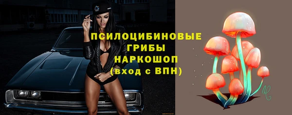 бошки Горнозаводск