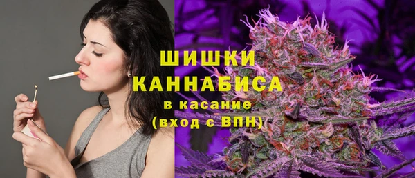 бошки Горнозаводск