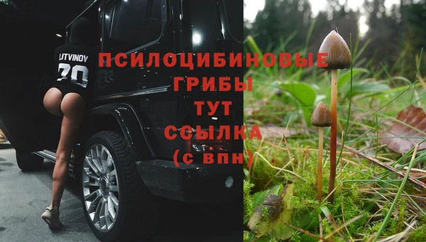 а пвп мука Горно-Алтайск